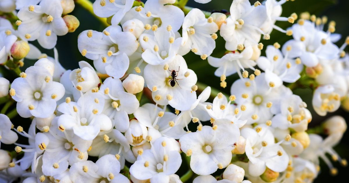 After two warm, sunny days, a low-pressure system from the Pacific has moved in to rain on Western Washington's parade.