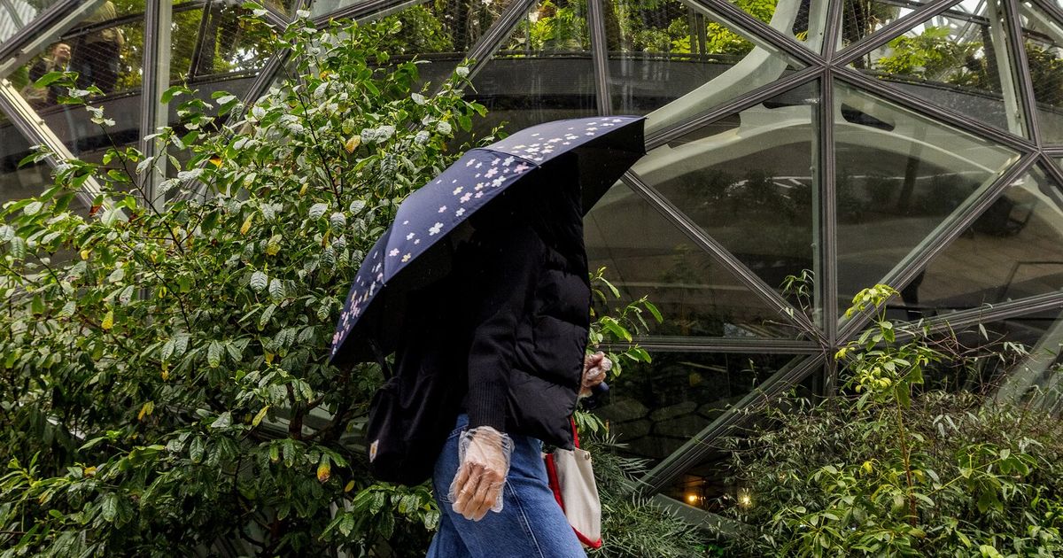 Winter is back for a week. The lowest temperatures could near freezing while snow returns to the mountains.