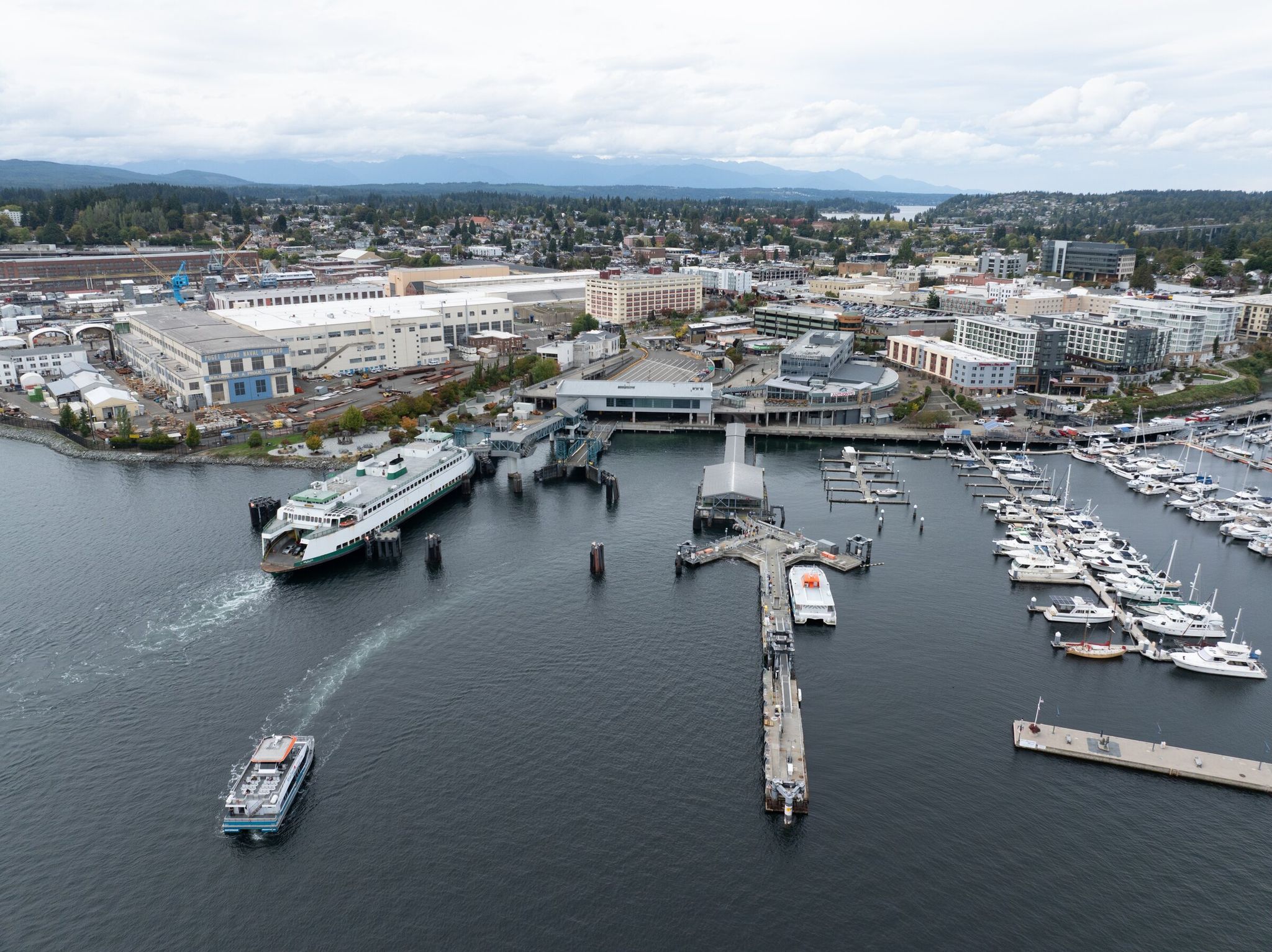 Aerial view of Bremerton. The port agreed to pay $350,000 to settle a lawsuit with the mother of a then-2-year-old girl who was attacked by a river otter and dragged into Bremerton Marina in 2024. (Karen Ducey / The Seattle Times, 2025)