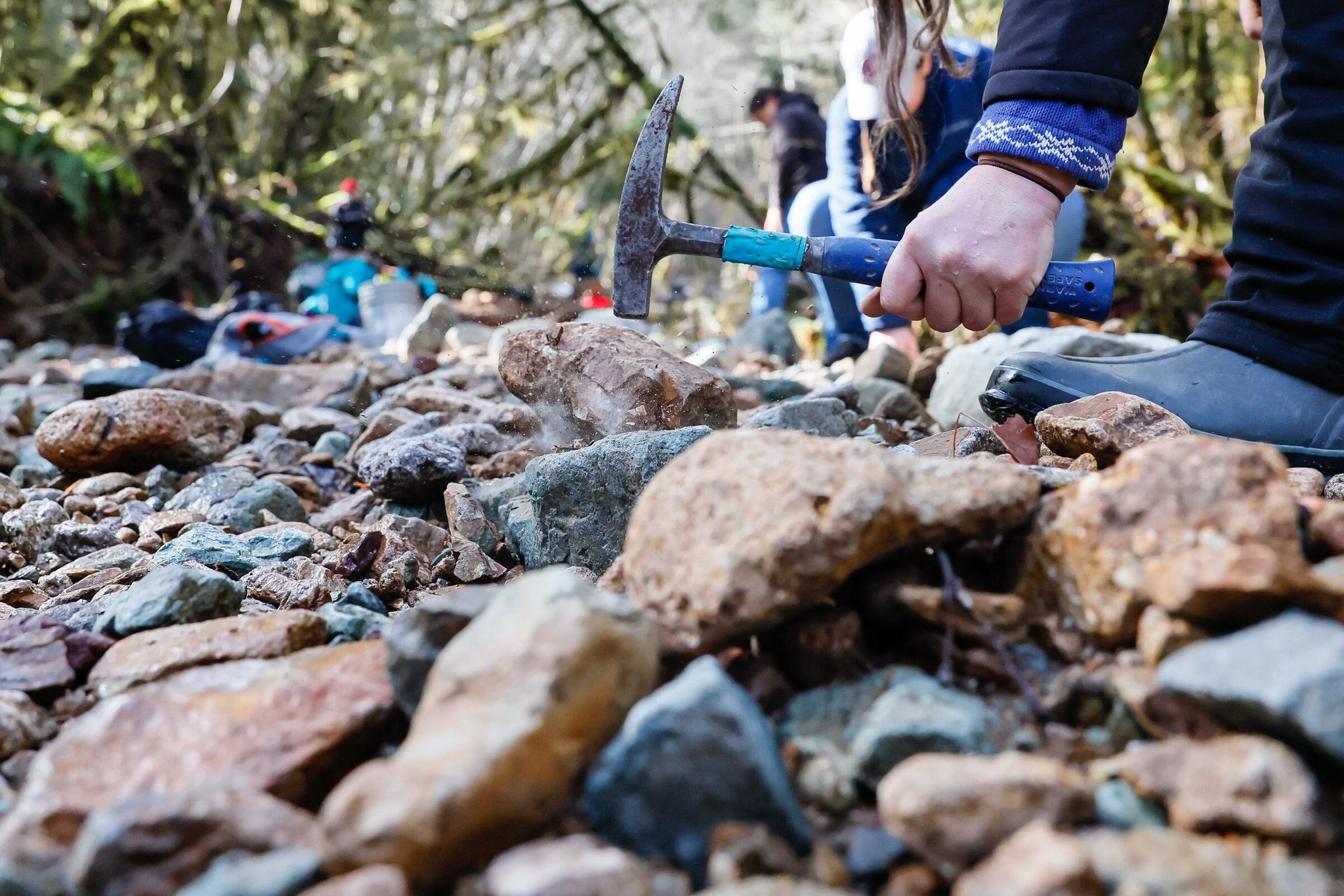 Nick Weeks uses a rock pick to split a stone while searching for picture jasper in the Happy Thoughts Creek watershed. (Jennifer Buchanan / The Seattle Times)