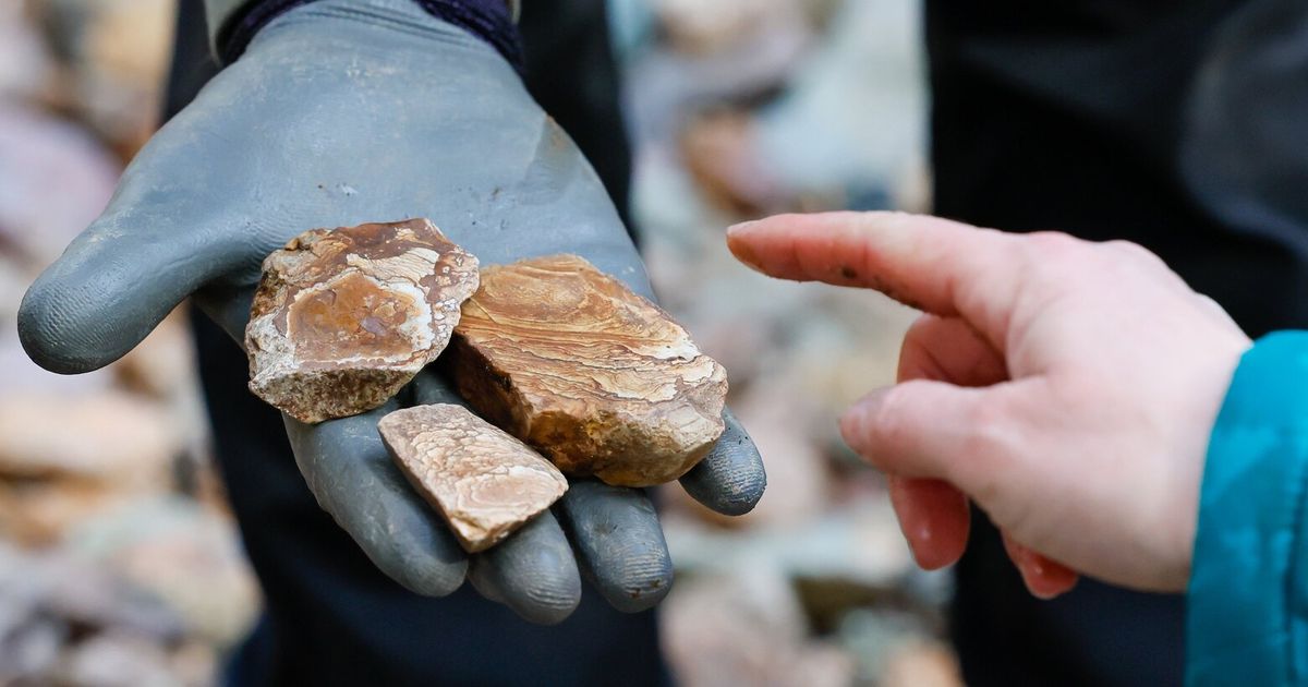 For geology wonks and amateur collectors of minerals and fossils, the state offers a jackpot of dazzling treasures that tell the story of Earth’s mighty history.