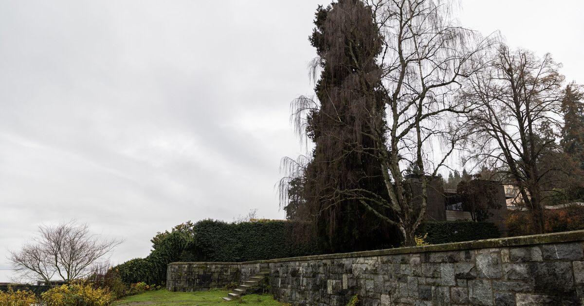 Bare-chested parkgoers have been 