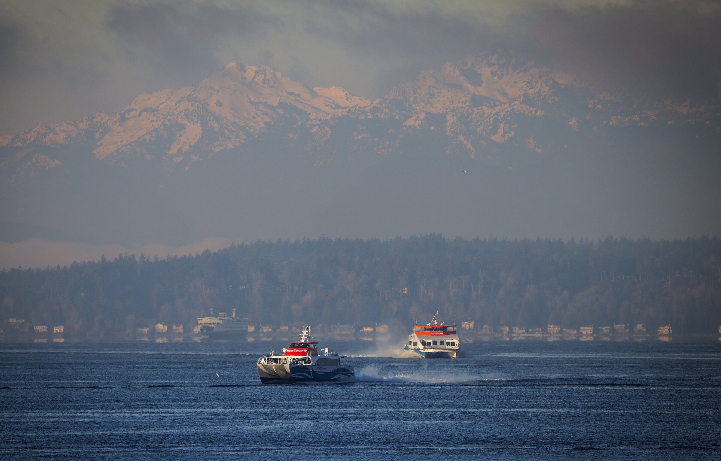 Democratic WA legislators' ferry feud gets us nowhere | The