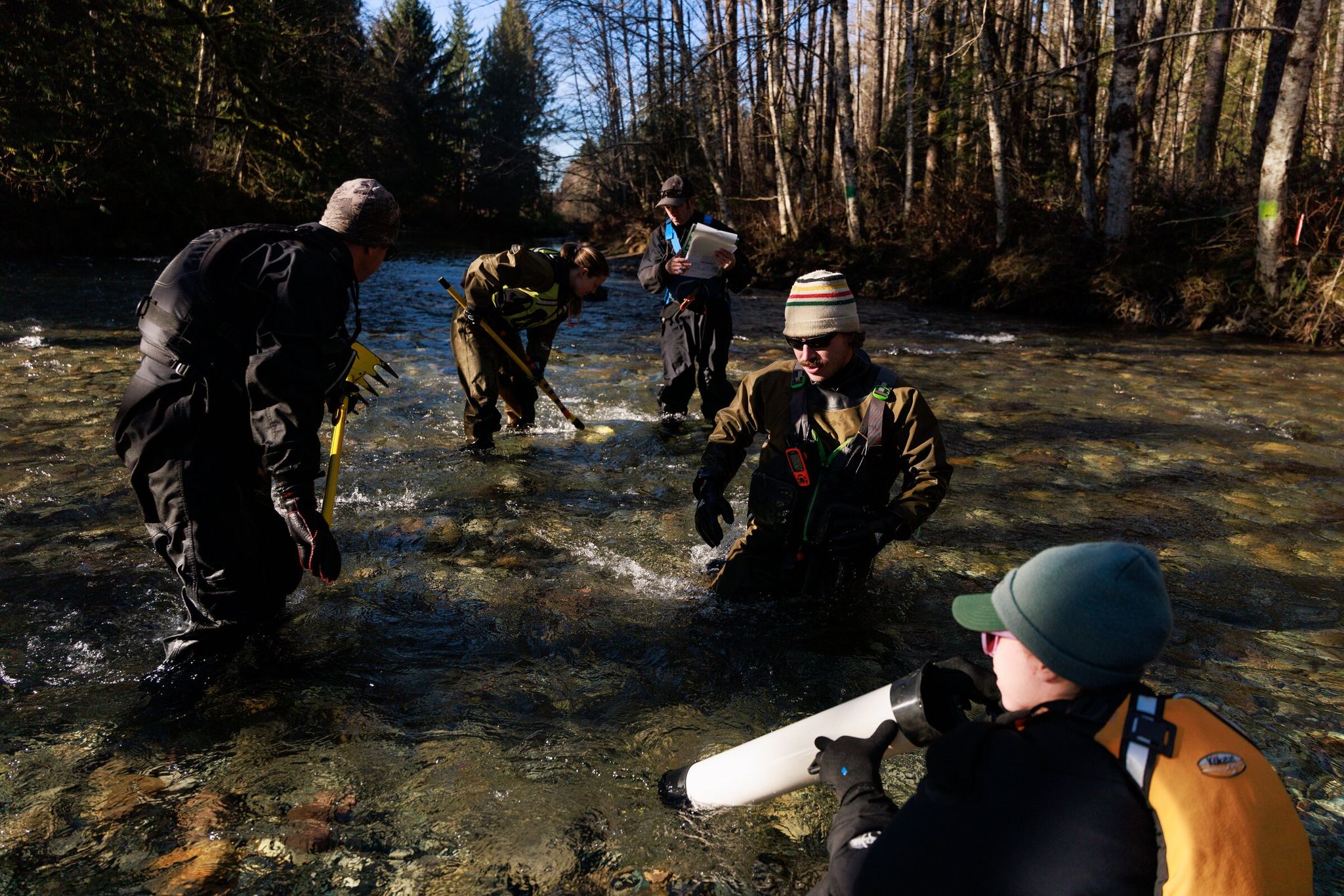 From right, Bethany Craig, research scientist, Cooper Oswald, spawning grounds surveyor, and fellow scientists work in Squire Creek, a tributary of the North Fork Stillaguamish River, on Jan. 21. Lowe and the scientists are studying how sedimentation and scour may impact egg survival for Chinook salmon. (Erika Schultz / The Seattle Times)