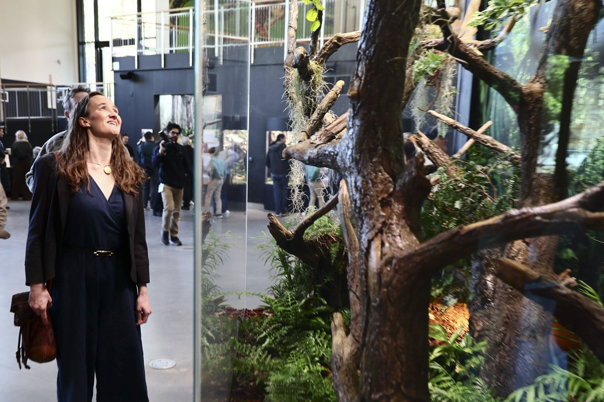 Seattle Mayor Katie Wilson tours exhibits in the new Forest Trailhead pavilion at Woodland Park Zoo on Friday. “The city owns this land, and the zoo brings it to life. Together it becomes something that truly belongs to all of Seattle, and that’s what we’re talking about today,” Wilson said. “This new Forest Trailhead pavilion is a great example of what such a partnership can deliver.” (Kevin Clark / The Seattle Times)