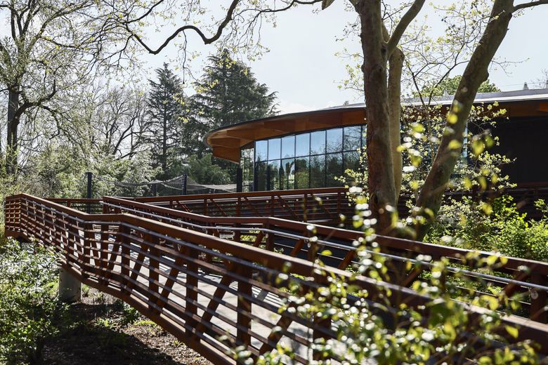 The new Forest Trailhead pavilion at Woodland Park Zoo on Friday. As guests wander the pavilion, they can find information on how to get involved in forest conservation efforts and see art by Indigenous artists that honor their cultural heritage. (Kevin Clark / The Seattle Times)