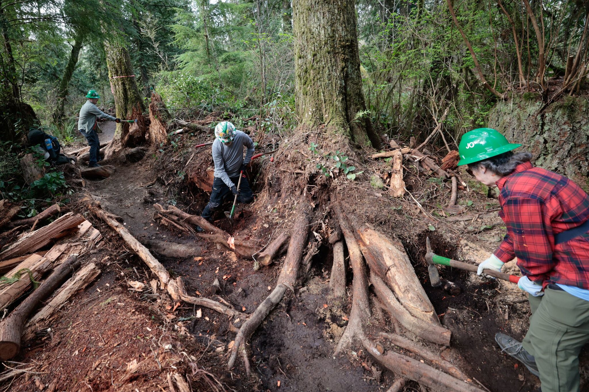 Washington Trails Association volunteers, left to right: Simon Crane of Everett, Tim Verkist of Seattle and Joe Bedlington of Everett, work on a new accessible loop trail near Lake Cassidy. (Karen Ducey / The Seattle Times)