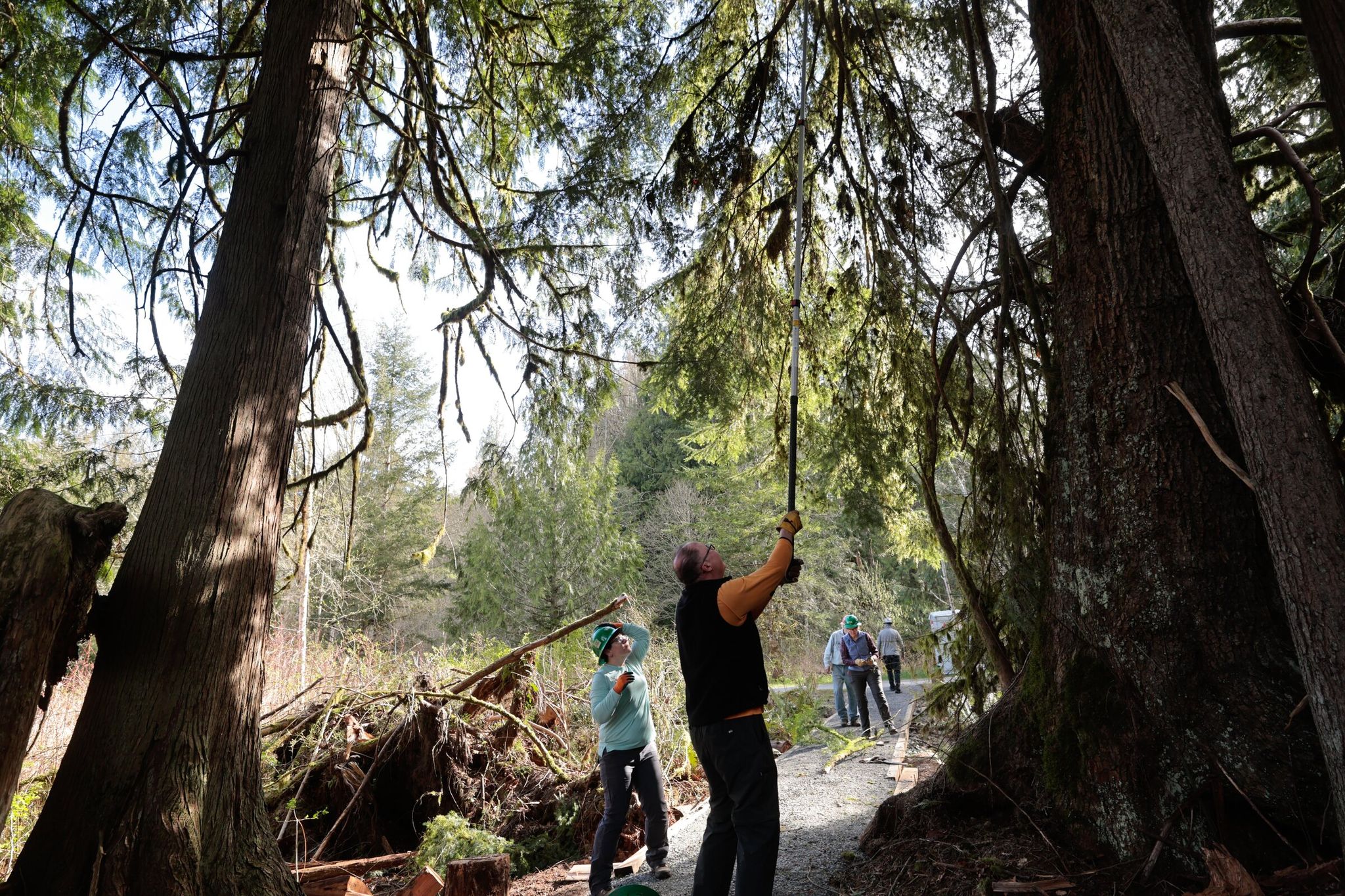 Kindra Ramos of Everett, left, WTA’s director of programs, and Eric Slipern of Issaquah remove branches while working with other volunteers last month. (Karen Ducey / The Seattle Times)