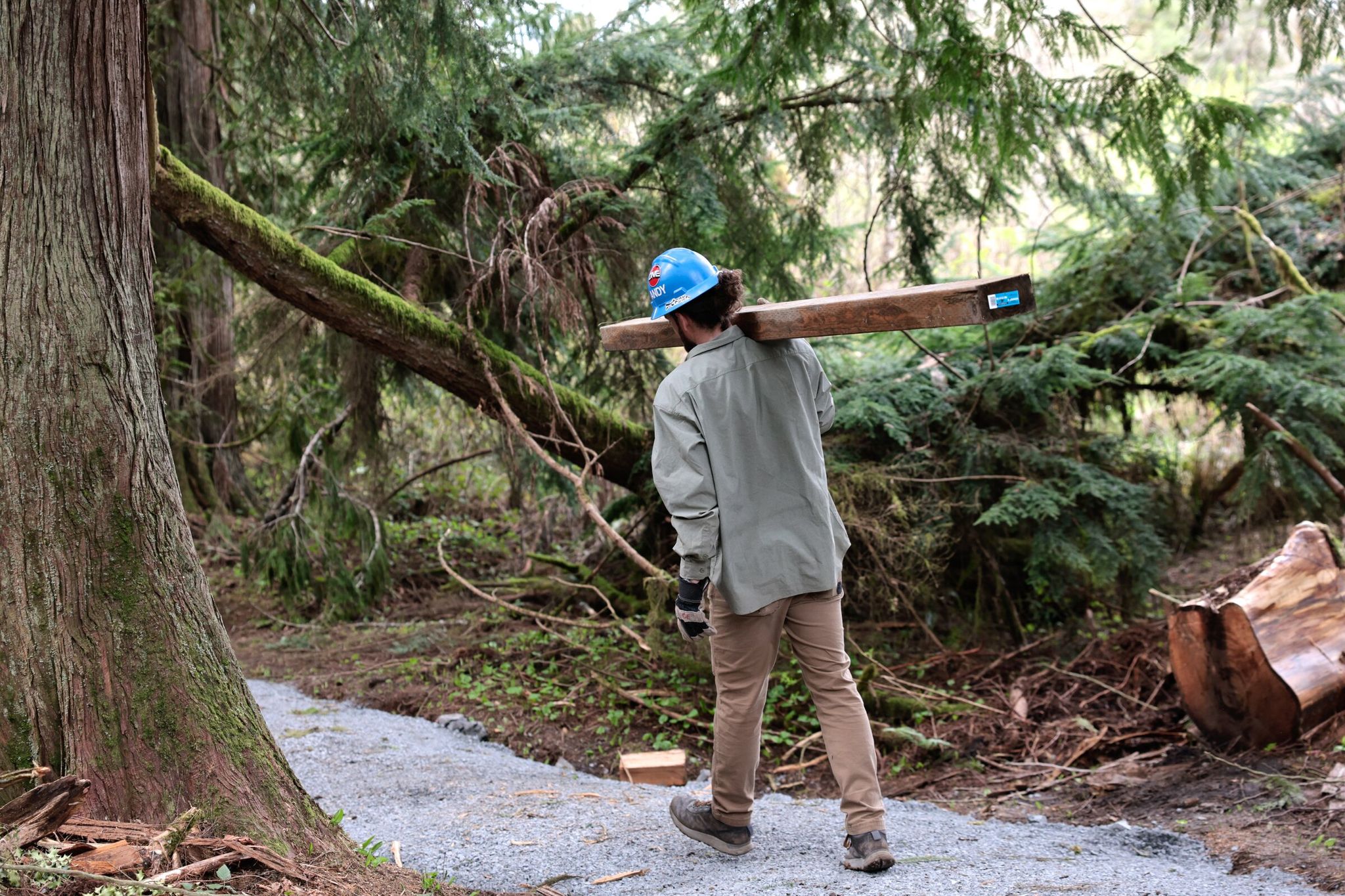 Andy James, a crew leader with the Washington Trails Association, carries materials to volunteers building a new ADA-compliant loop trail. (Karen Ducey / The Seattle Times)