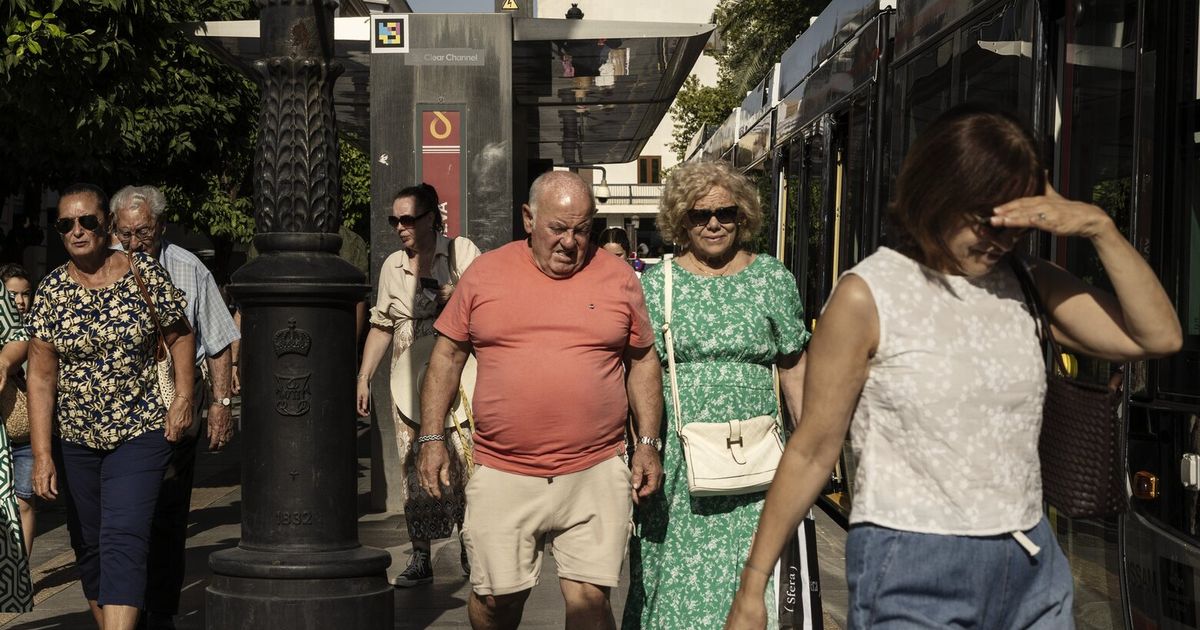Almost all of Europe was abnormally hot in 2025, report finds