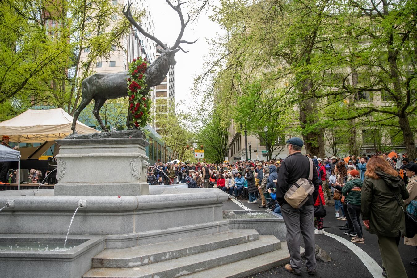 People gather in downtown Portland on Sunday for the opening and celebration of the Thompson elk statue, which last week returned to its original spot on Southwest Main Street for the first time since 2020. The city removed the landmark after fires damaged its base during protests that year. (Mark Graves / oregonlive.com/TNS)