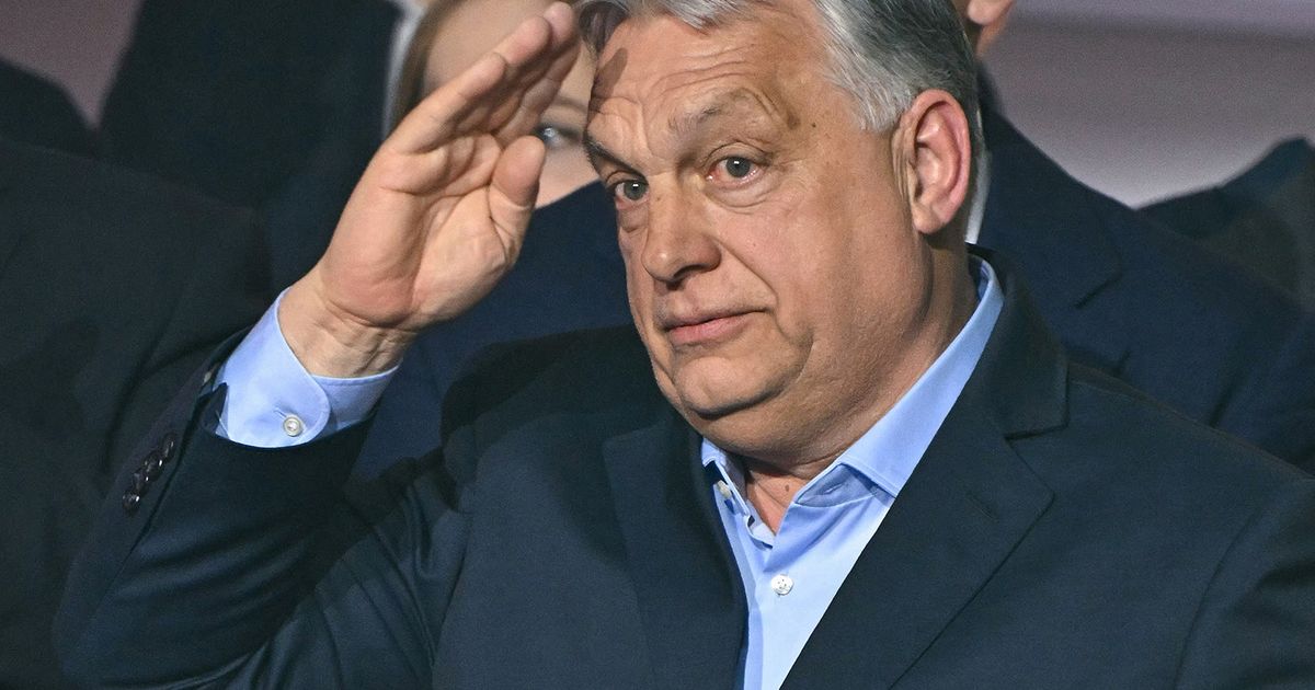 Mouse Putin telah pergi. Itu berita mengerikan bagi dunia MAGA