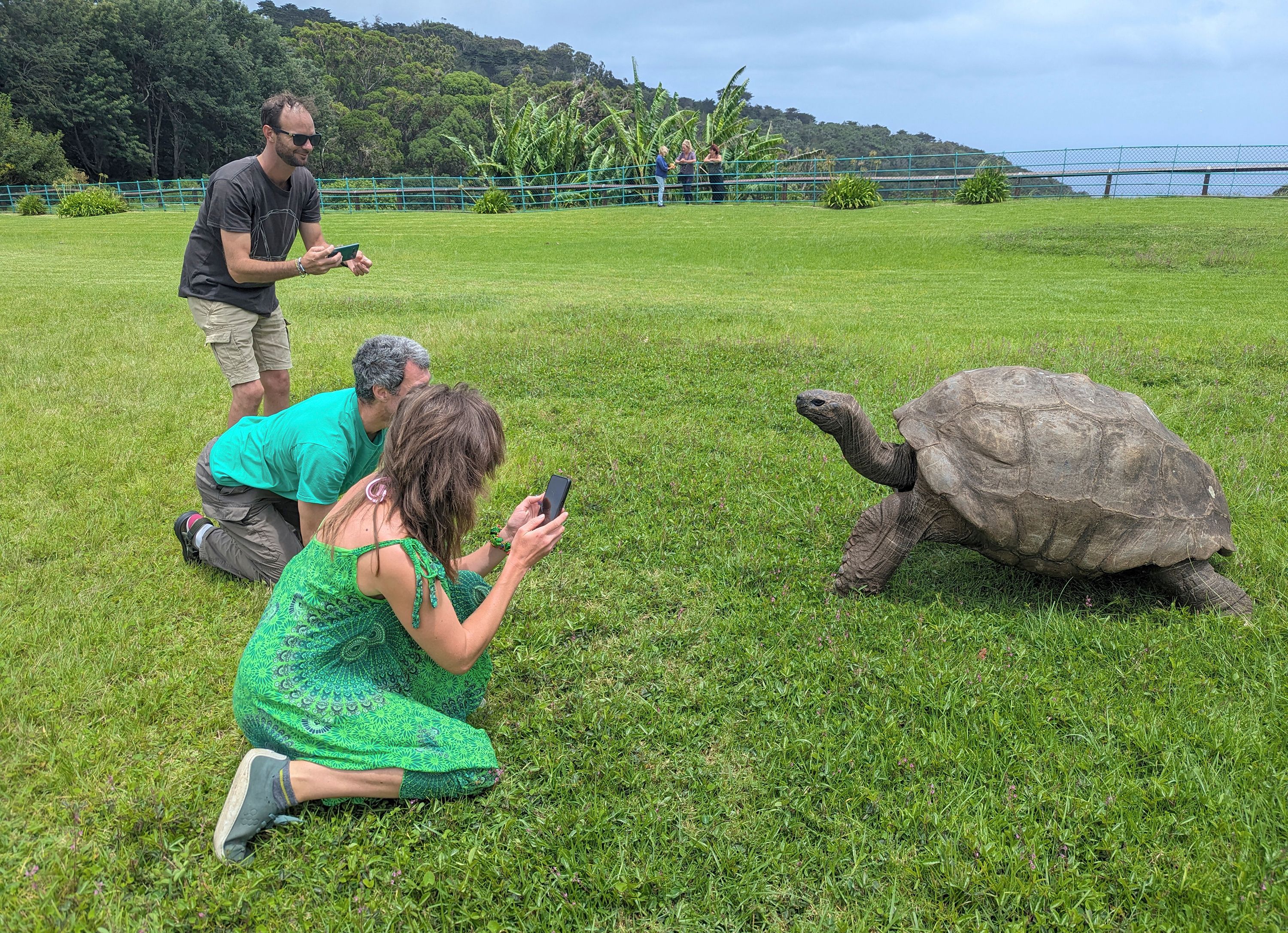 洋楽 Tortoise MillionLivingWillNeverDie Tortoise - Millions Now Living Will Never Die - Amazon.com Music