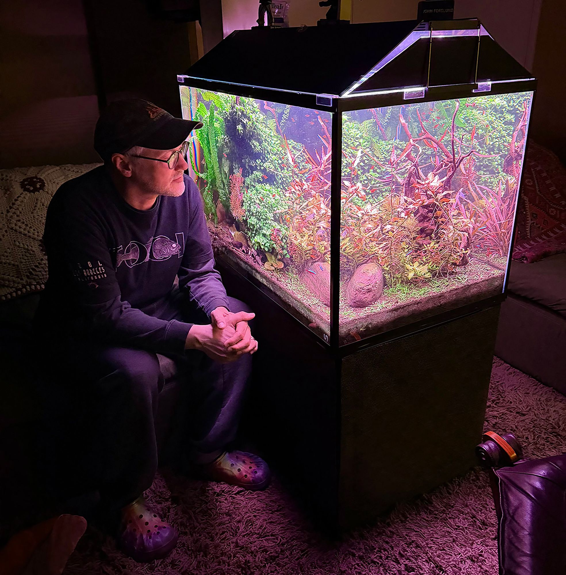 Planted aquariums brighten rooms and moods | The Seattle Times