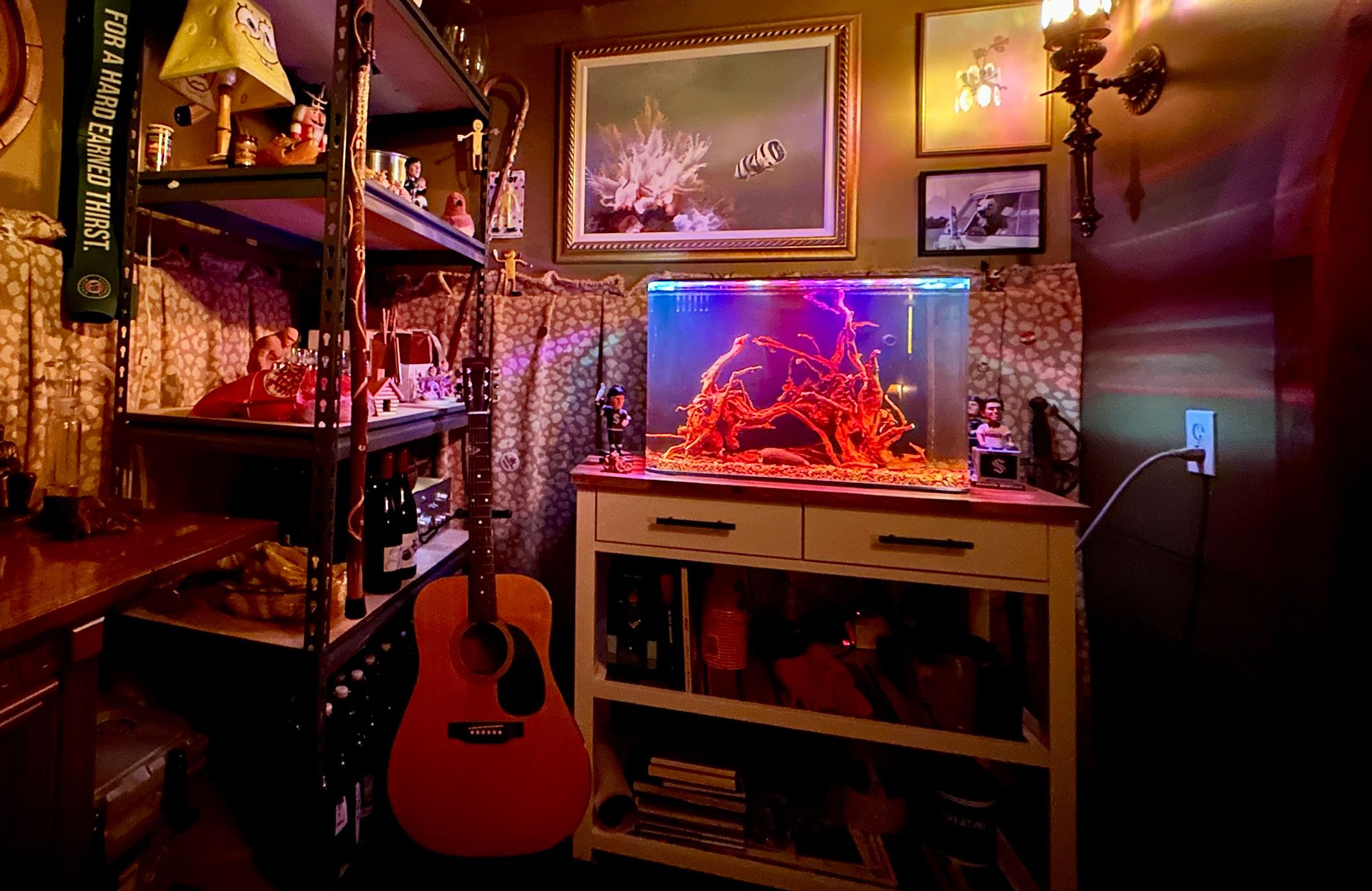 Planted aquariums brighten rooms and moods | The Seattle Times