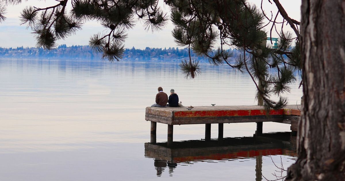 A tree frames a tranquil moment on a Lake Washington dock