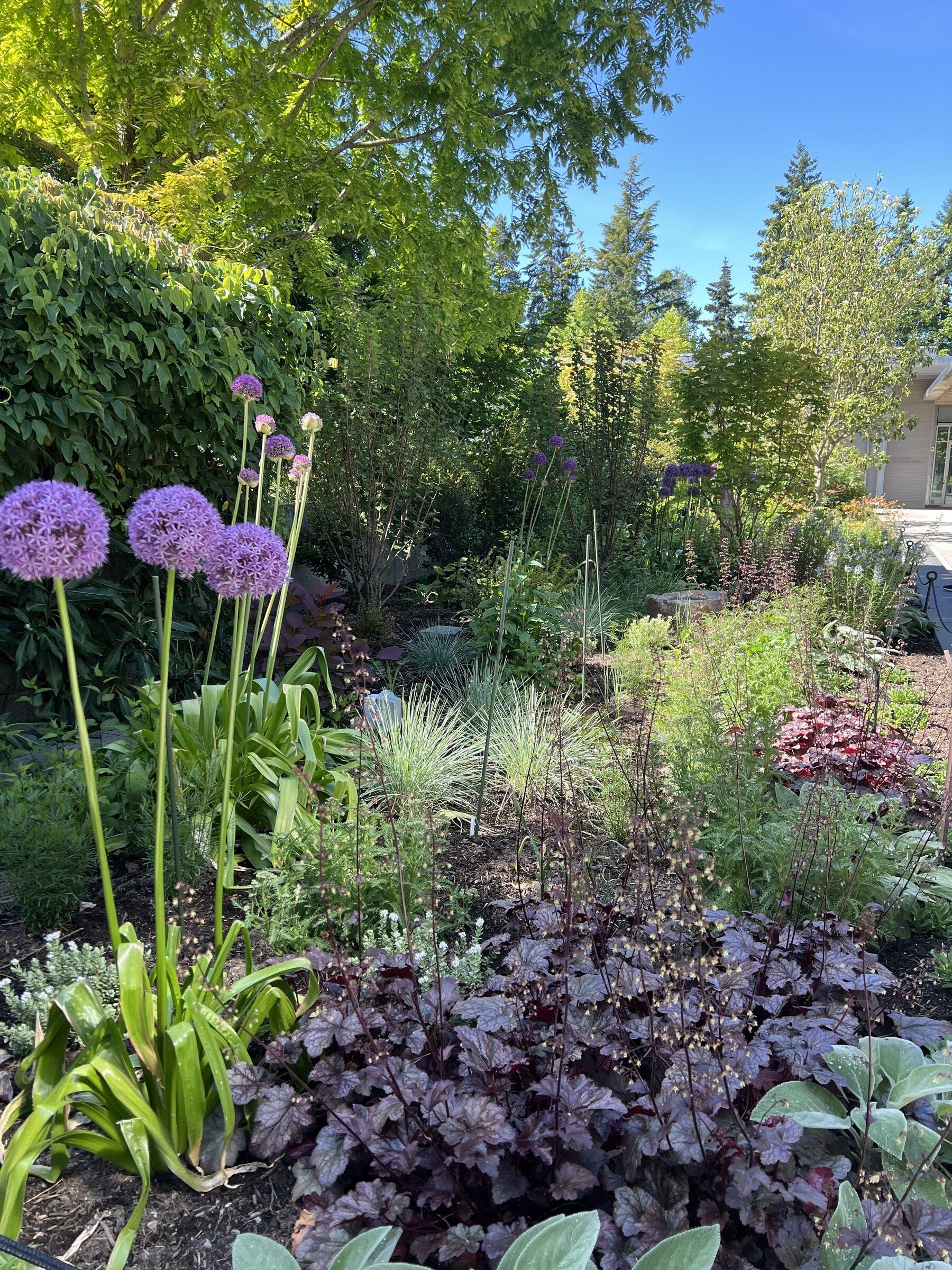 The dynamic Habitats at Home display garden, just inside the entrance to Bellevue Botanical Garden, was created by WSU Extension King County Master Gardeners with financial support from King Conservation District. (James Gagliardi)
