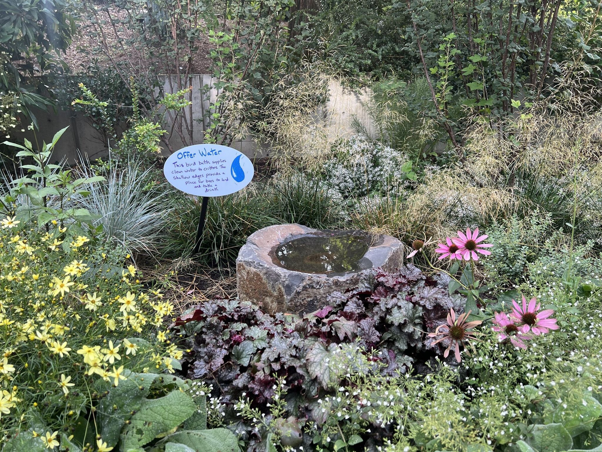 A carved stone bird bath holds water for passing wildlife. (James Gagliardi)