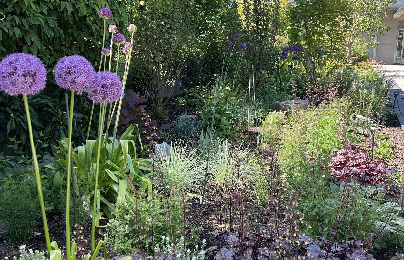 Bellevue Botanical Garden's newest display promotes wildlife