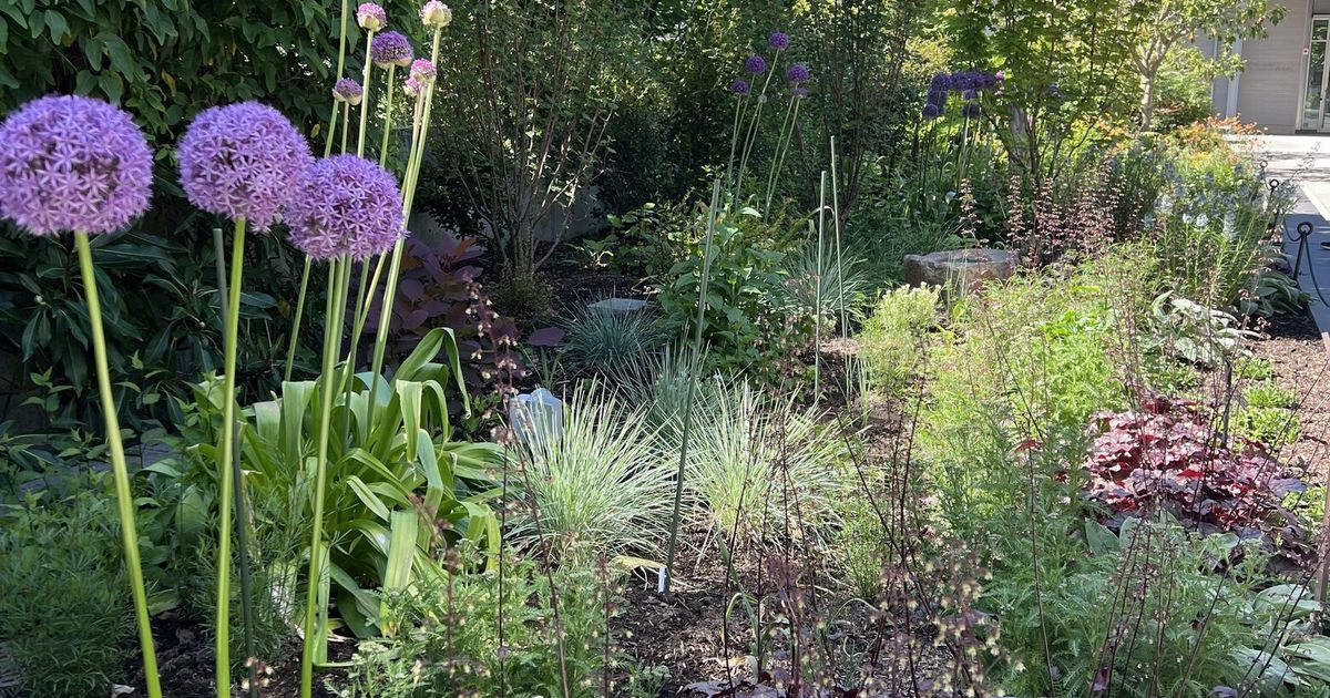What you plant can nourish wildlife. New Eastside garden area shows how.