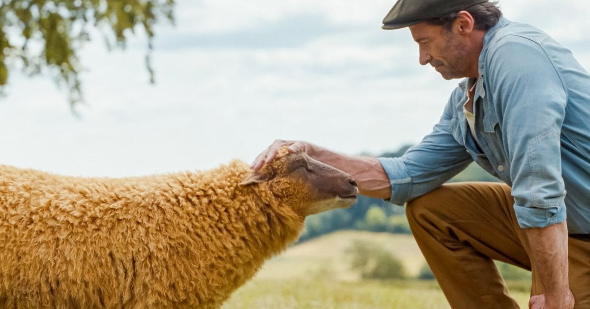 ‘The Sheep Detectives’ review: An enchanting film with moving messages