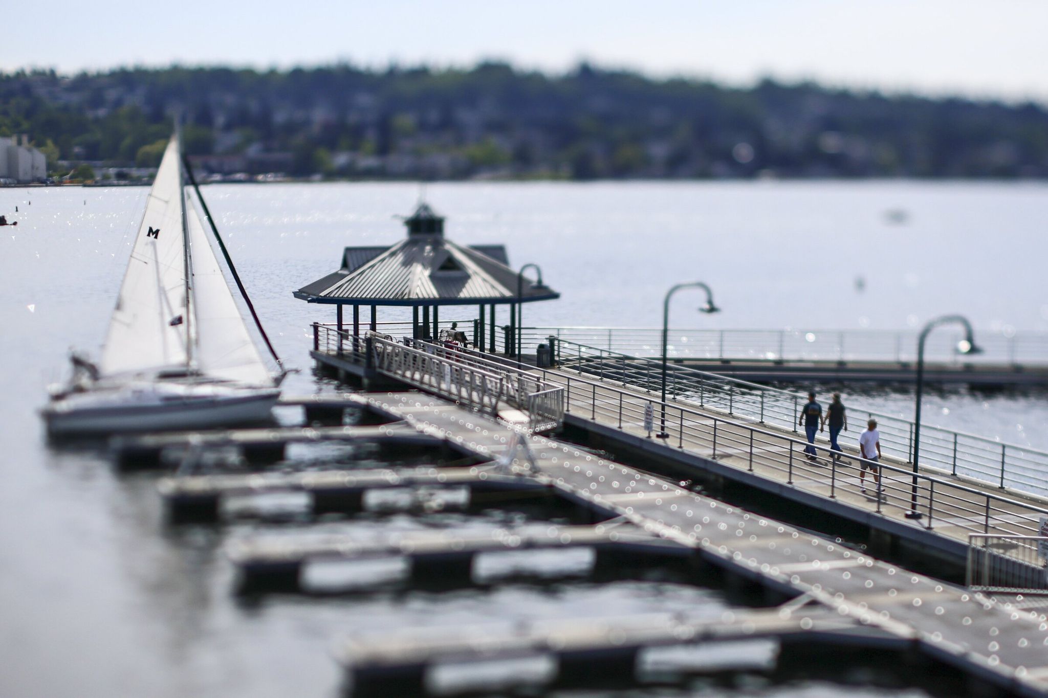 A lone sailboat in docked Friday afternoon at Gene Coulon Memorial Beach Park in Renton. (Kevin Clark / The Seattle Times)