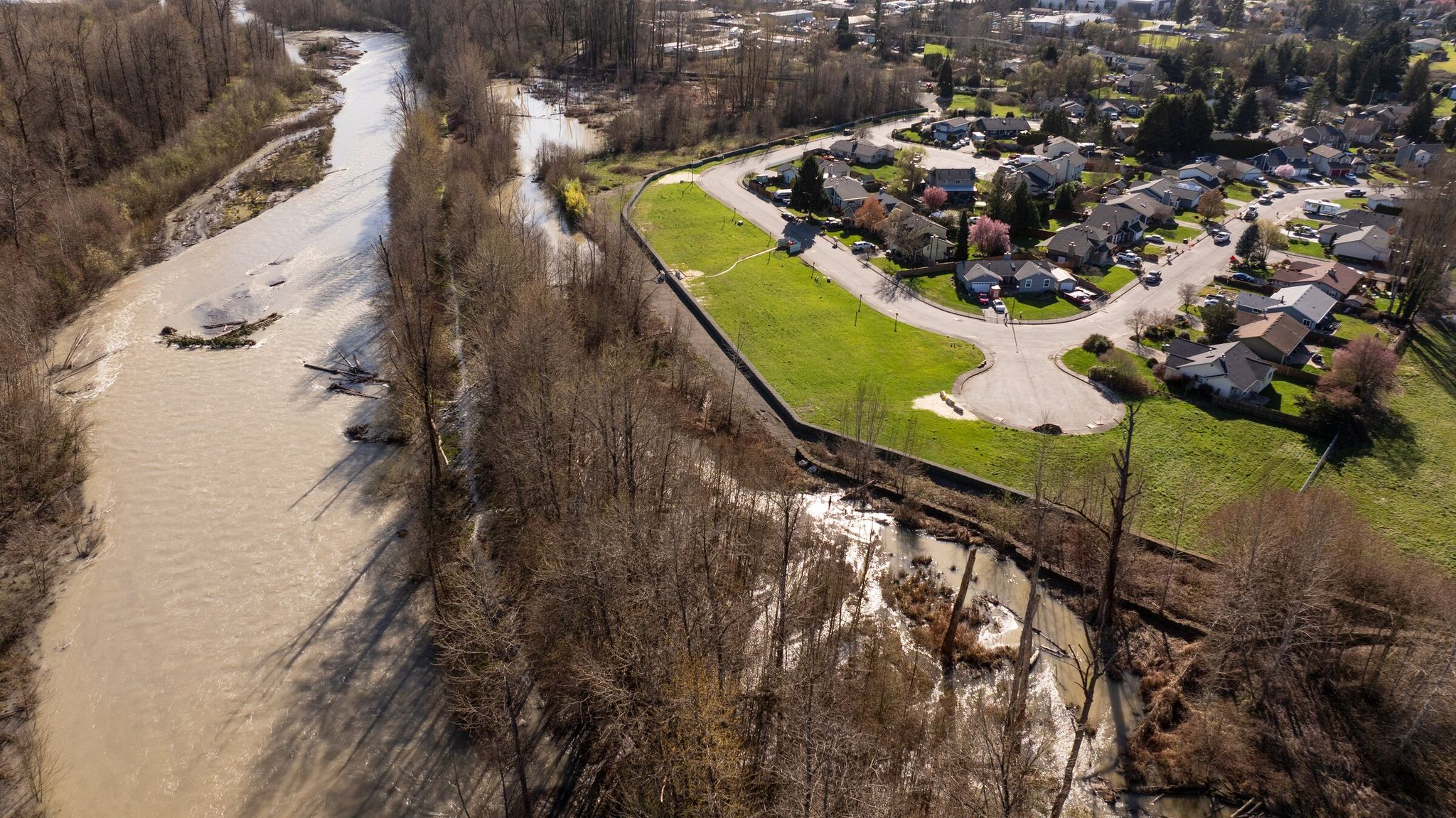 The river runs along White River Drive in Pacific, King County. The green lawn was once a block of houses; the county bought and demolished homes there after the 2009 flood. (Erika Schultz / The Seattle Times)