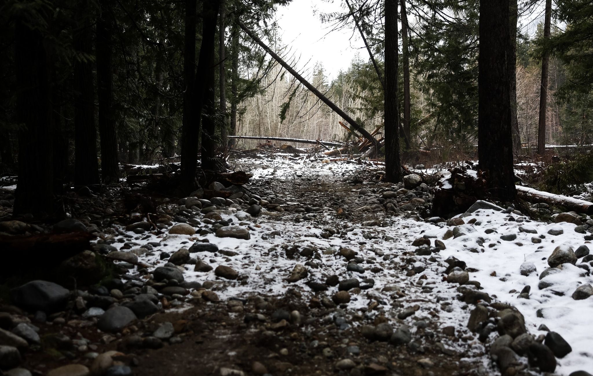 Fallen trees and boulders turn Company Creek Road into an obstacle course in February in Stehekin. (Nick Wagner / The Seattle Times)