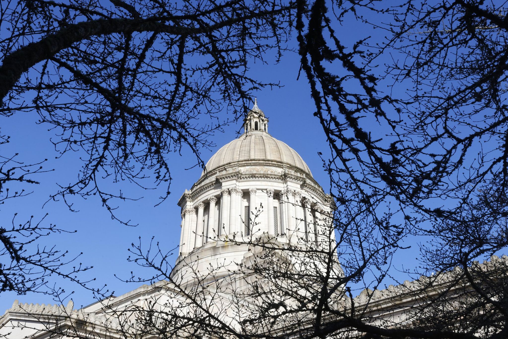 The Legislative Building in Olympia is shown March 5.  (Karen Ducey / The Seattle Times)