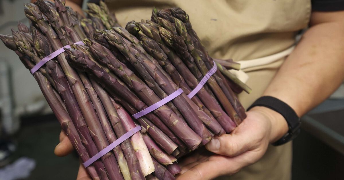 3 Seattle spots to taste spring’s greatest thing