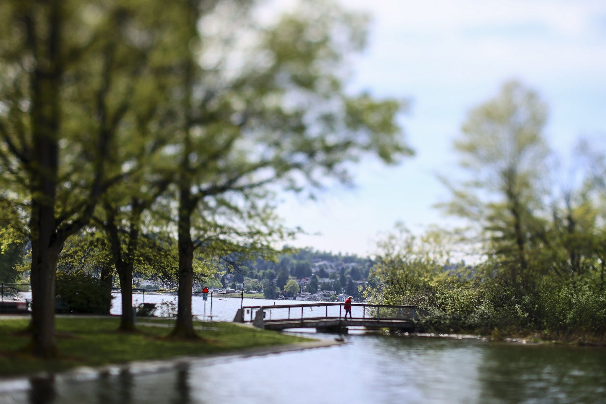 The bridge to the small bird sanctuary island at Gene Coulon Memorial Beach Park in Renton this month. (Kevin Clark / The Seattle Times)