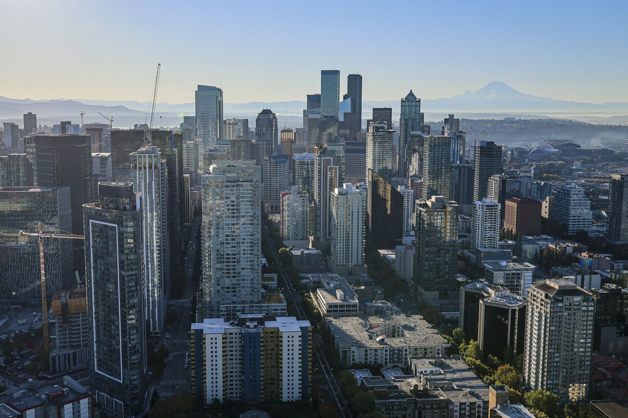 Downtown Seattle from the Space Needle on Oct. 15. (Kevin Clark / The Seattle Times)