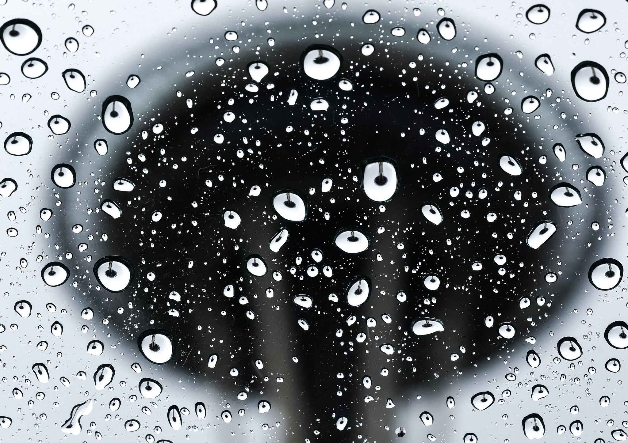Raindrops reflect the Space Needle on a rainy April day in Seattle. (Nick Wagner / The Seattle Times)
