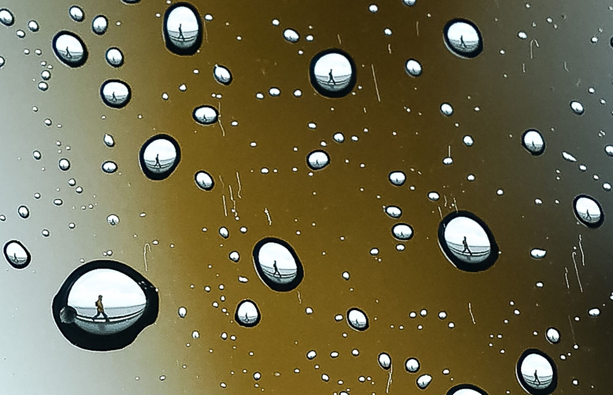 A pedestrian is reflected in raindrops as they walk along Alki Beach in Seattle earlier this spring. (Nick Wagner / The Seattle Times)