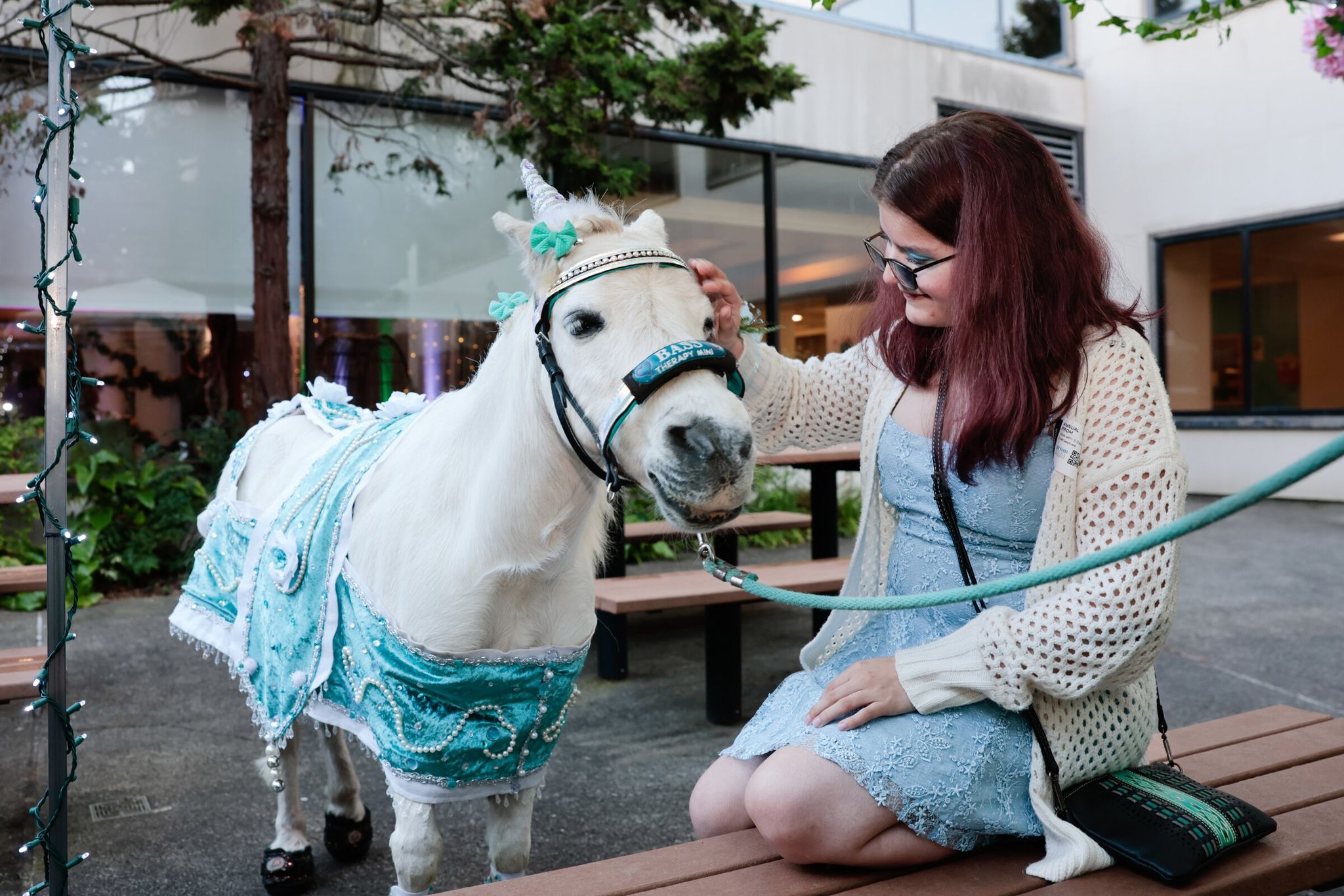 Emily Millington, 16, gets a dose of affection from dapper Bass, a 21-year-old miniature horse from Woodinville-based Kindhearted Mini Therapy. (Karen Ducey / The Seattle Times)