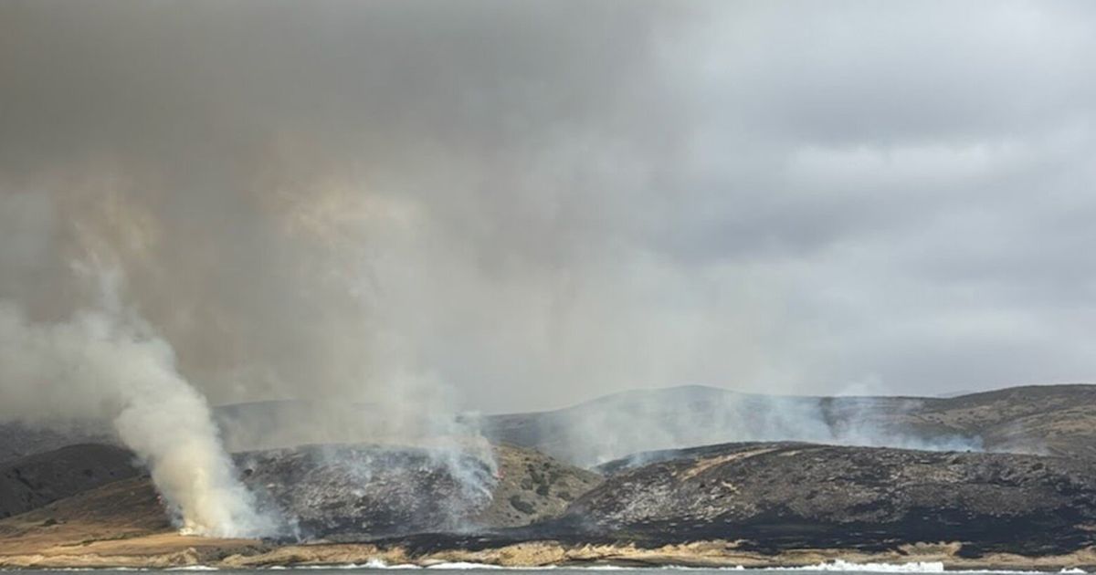 A sailor shot distress flares. Now a California island is burning