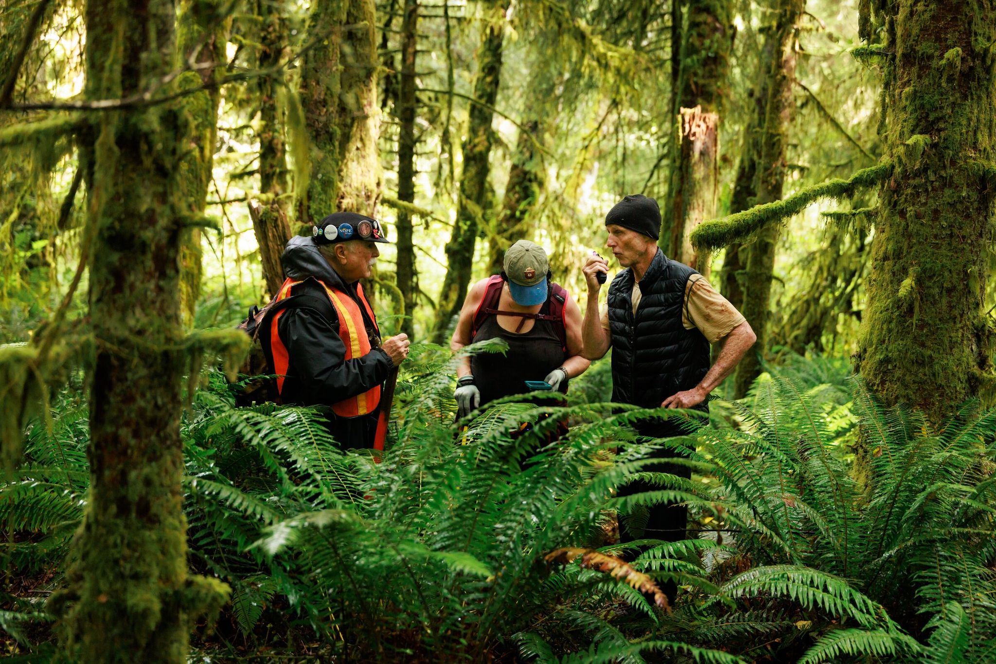 Tim Wheeler, Margo Polley and Peter Stedman navigate through the dense and thick Doc Holliday forest west of Port Angeles. Private donations will preserve 2 acres that had been slated for logging. (Erika Schultz / The Seattle Times, 2024)
