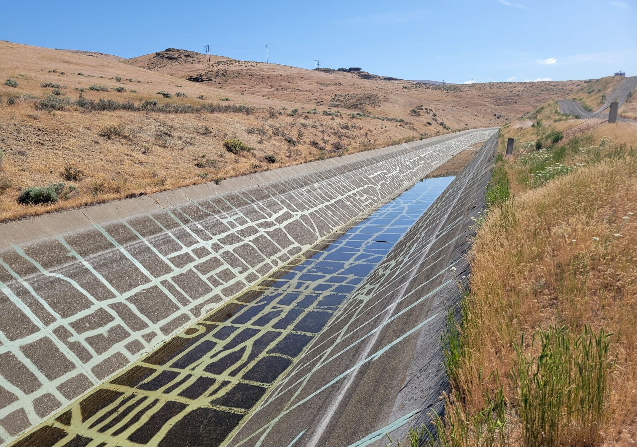 Managers for the Roza Irrigation District in the Yakima River basin shut off their water supply in late May for more than a week to conserve the resource. This is the third year in a row the district, which supplies more than 72,000 acres of farmland, has had to shut its water off, a strategy that was once rarely used. (Courtesy of Scott Revell)