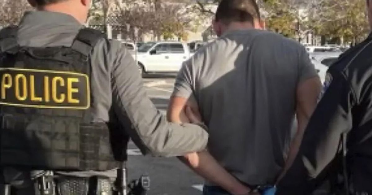 Tesla driver infamous for road rage attacks gets a second prison term