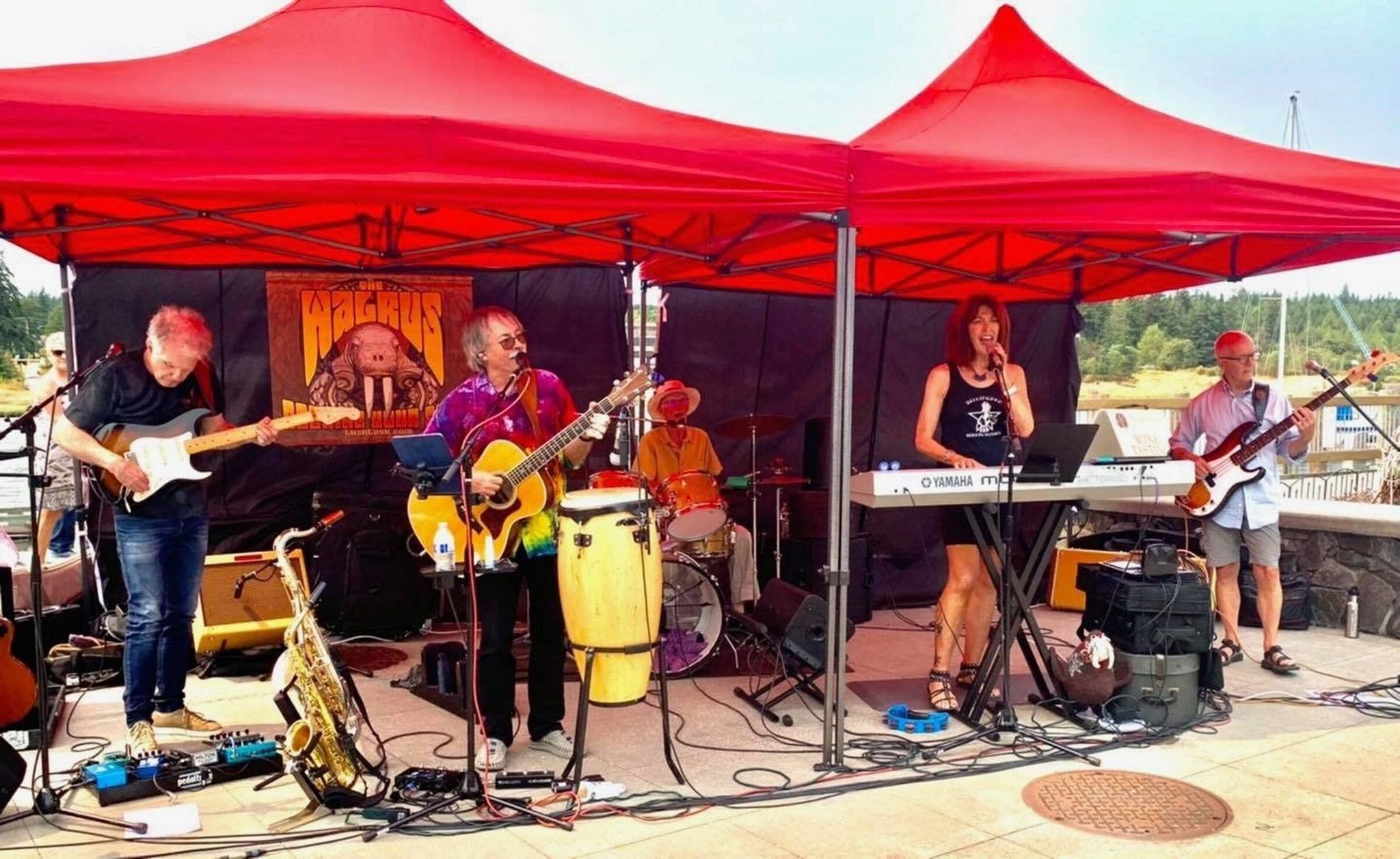 The band Walrus performs at a La Conner Live event in Gilkey Square. The Town Council voted Tuesday to resume the series after clawing back noise restrictions. (Gloria Hulst)