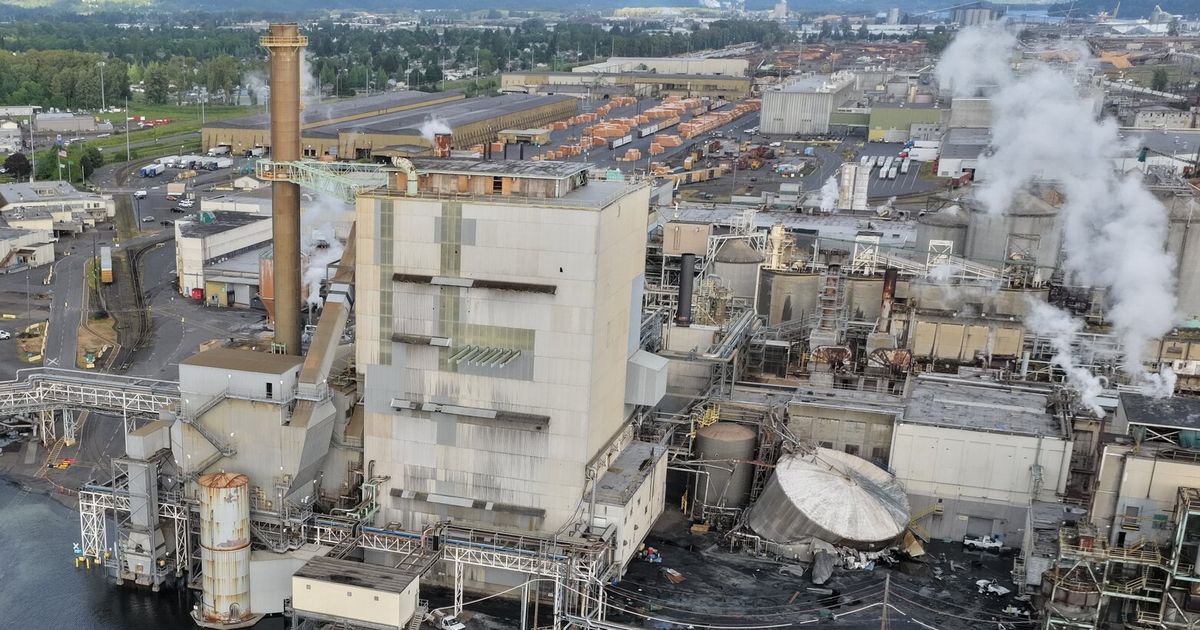 Deadly paper mill implosion illustrates industry’s risks