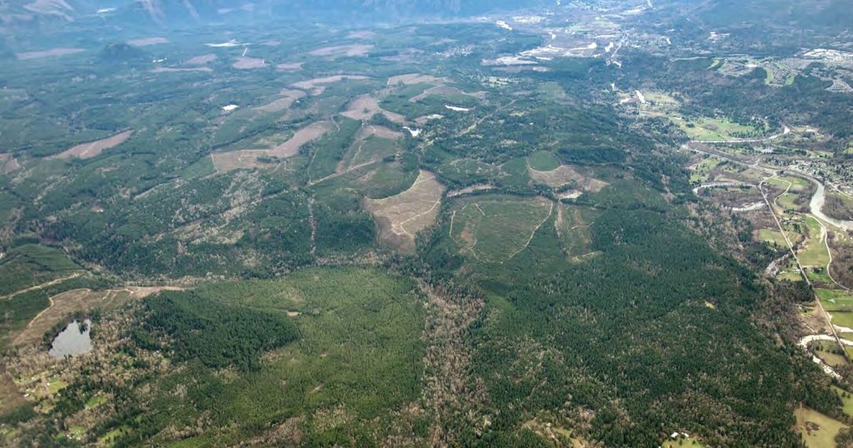 Popular Eastside trail network endangered as land goes on auction block