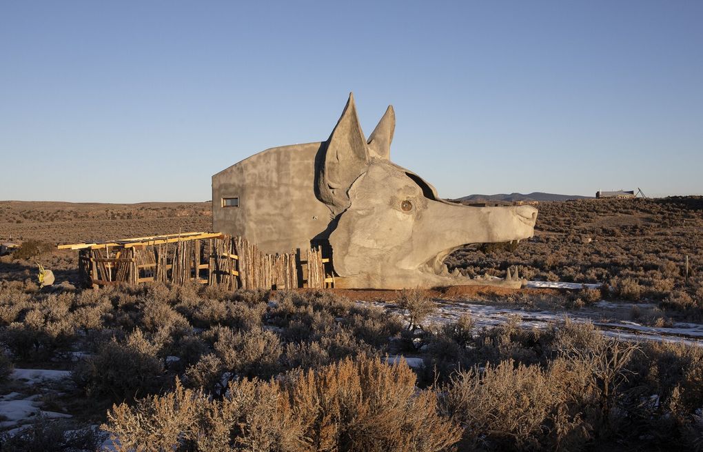 For rent: A one-bedroom coyote house