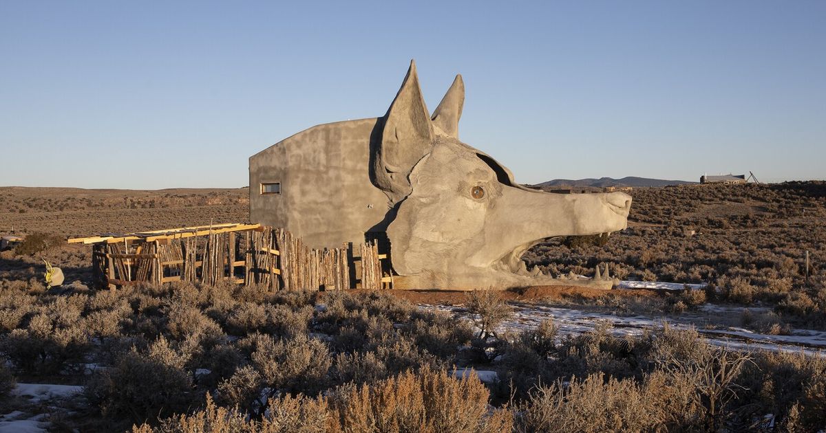 For rent: A one-bedroom coyote house