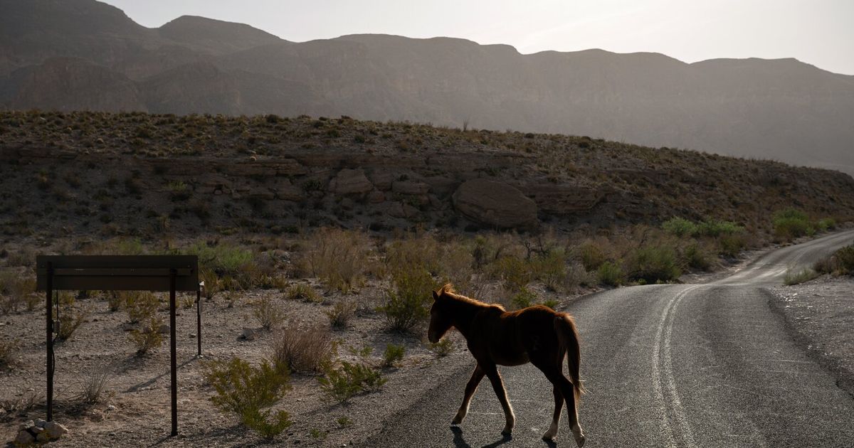 Trump lifts restrictions on off-road vehicles on public lands