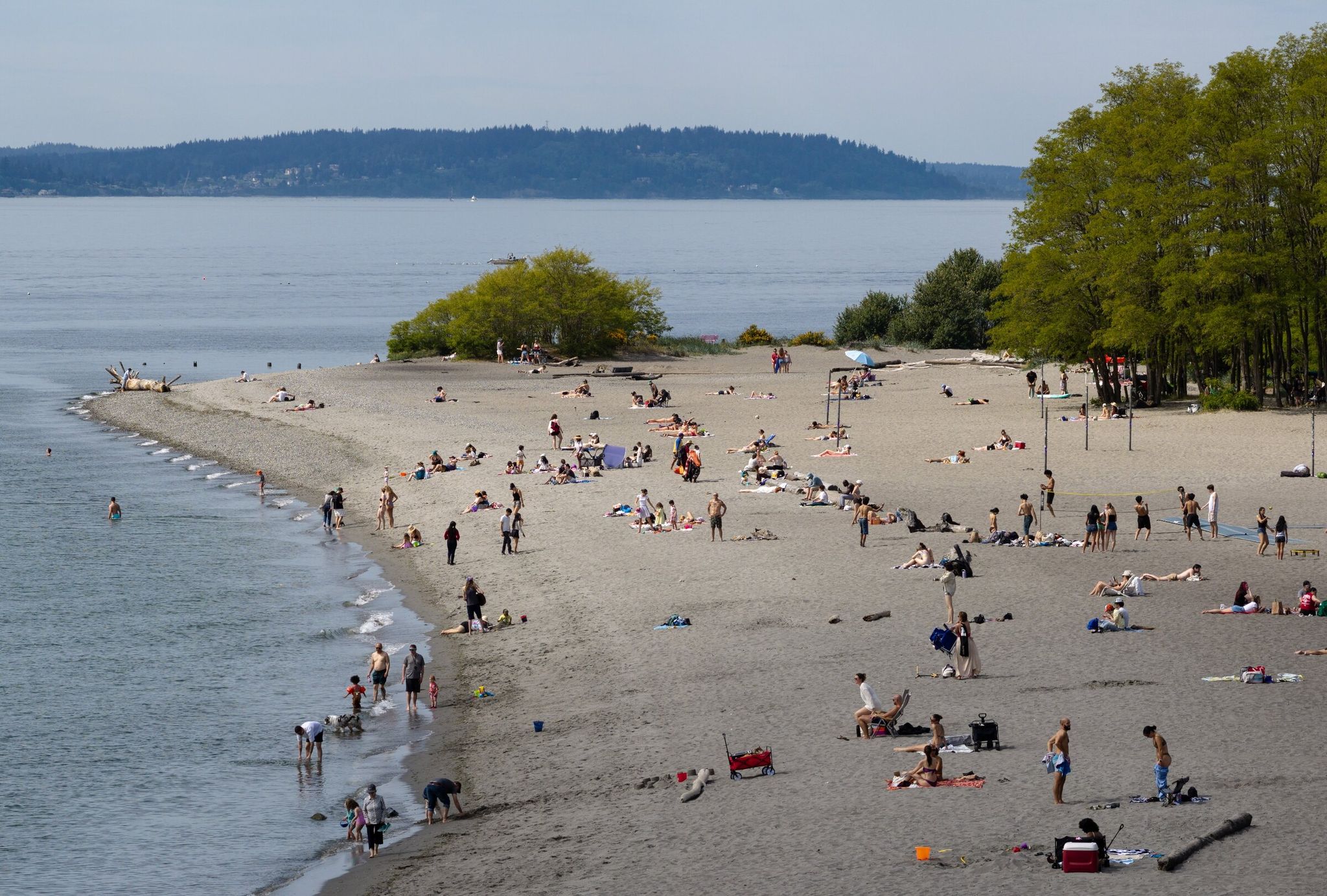 People sunbathe at Golden Gardens Park on May 12 in Seattle. (Nick Wagner / The Seattle Times)