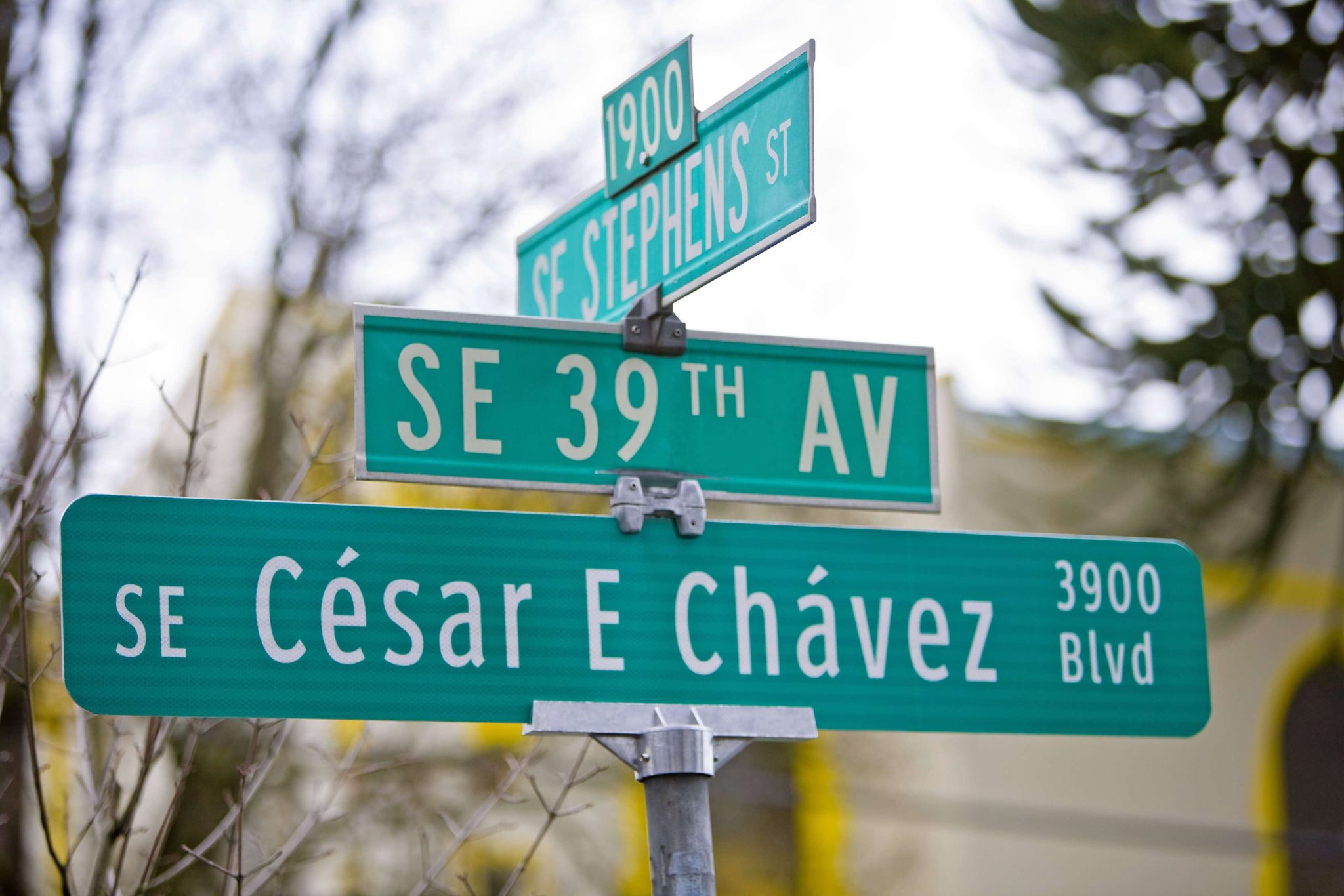 The Portland City Council is considering renaming César E. Chávez Boulevard after a New York Times investigation detailed accounts from multiple women that the late union leader had sexually abused them. (Motoya Nakamura / oregonlive.com)
