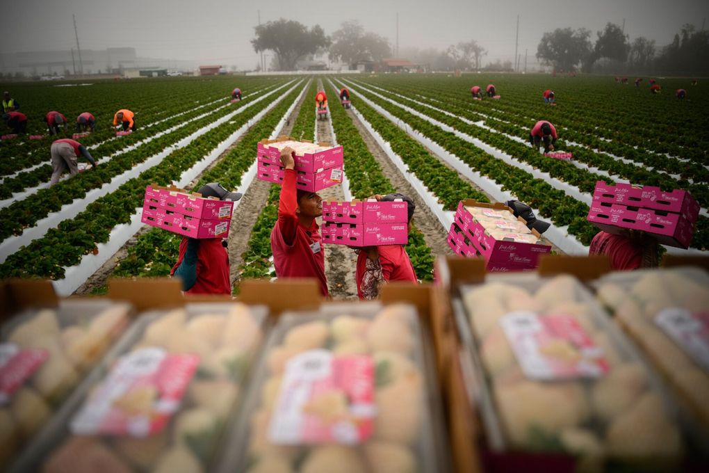 Americans are about to pay even more at the grocery store