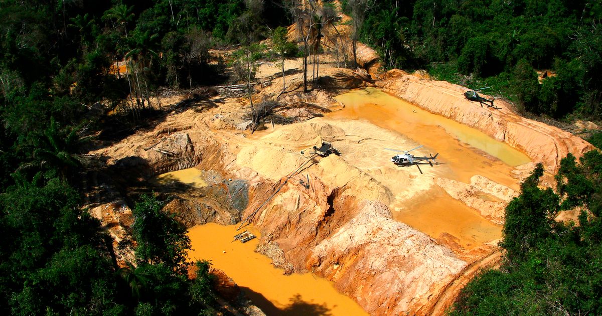A gold-fueled mining rush scars Brazil’s Amazon, spiking deforestation ...
