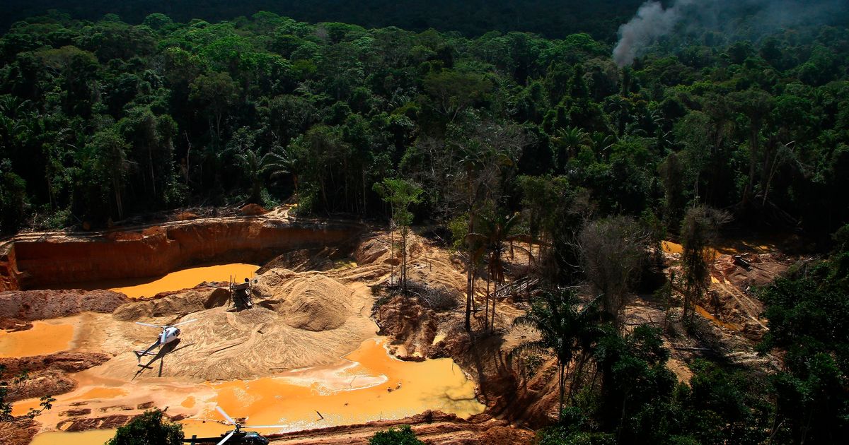 Indigenous Amazon groups urge the UN to curb organized crime, not militarize territories